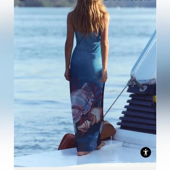 Zara Printed Tulle Dress - Picture 3 of 8